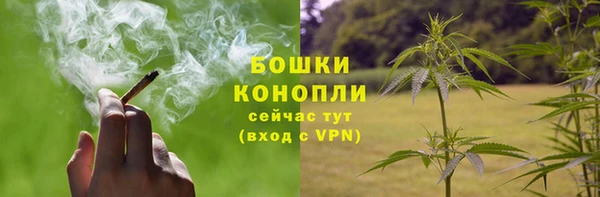 гидропоника Богородицк