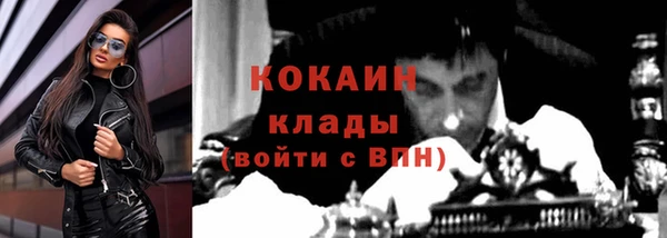 крисы Богородск