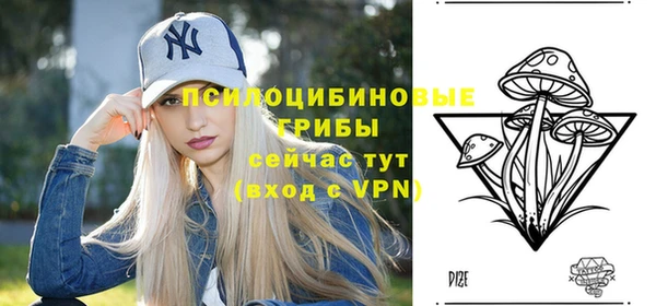 гидропоника Богородицк