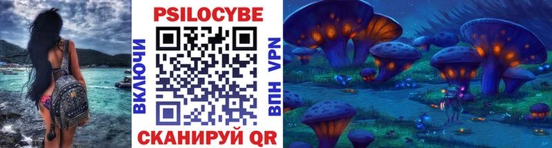 shop какой сайт  Вязьма  Галлюциногенные грибы мицелий 