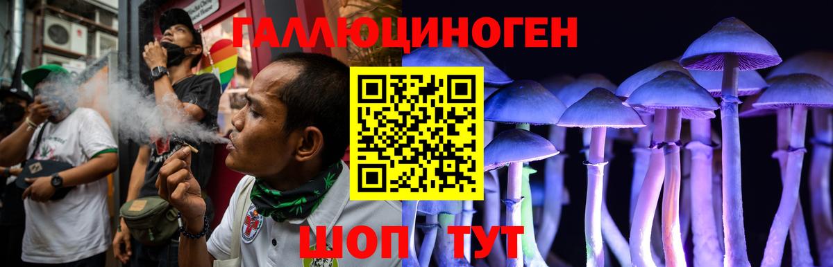 Галлюциногенные грибы прущие грибы Вязьма